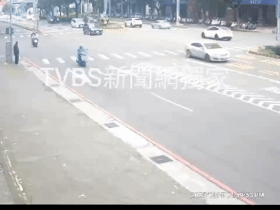 柴犬穿越車道遭2車撞擊。(圖/TVBS)