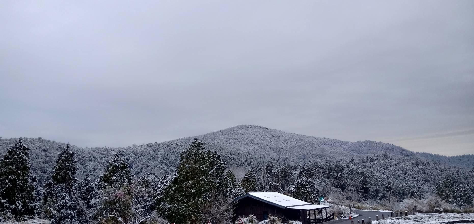 太平山莊也成銀白世界。(圖/太平山莊提供)