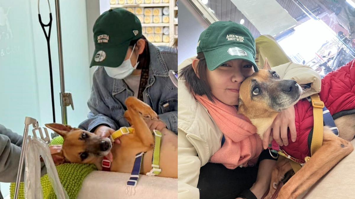 米可白「摯愛」罹癌!崩潰只剩幾個月存活 慟伴走最後的路:要等媽媽