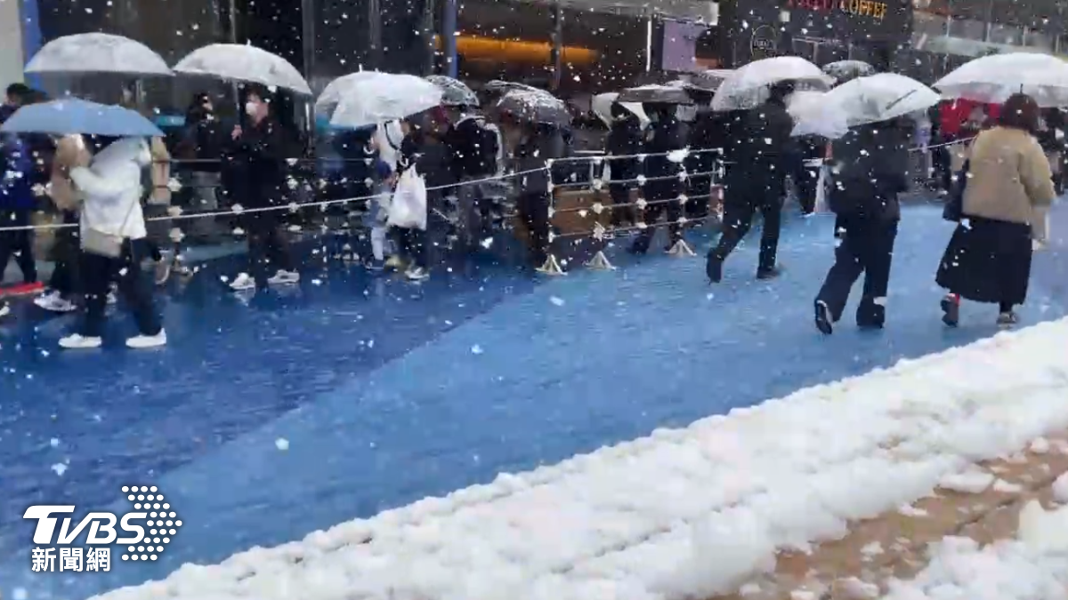 赴日注意!東京罕下3月雪「發布大雪警報」 部分JR列車停駛