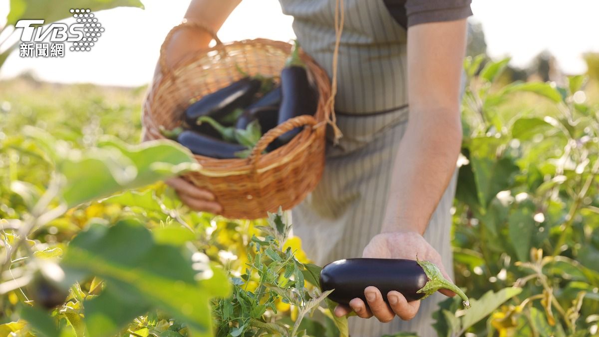 皇帝長壽菜大公開!乾隆愛吃「活到88歲」 醫認證:超強抗老化