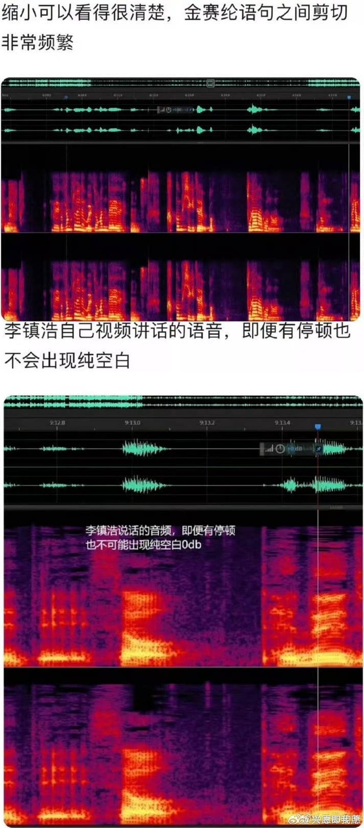 大陸網友發現,李鎮浩說話的音頻,即便有停頓,也未出現純空白、0分貝的情況。(圖/翻攝微博)