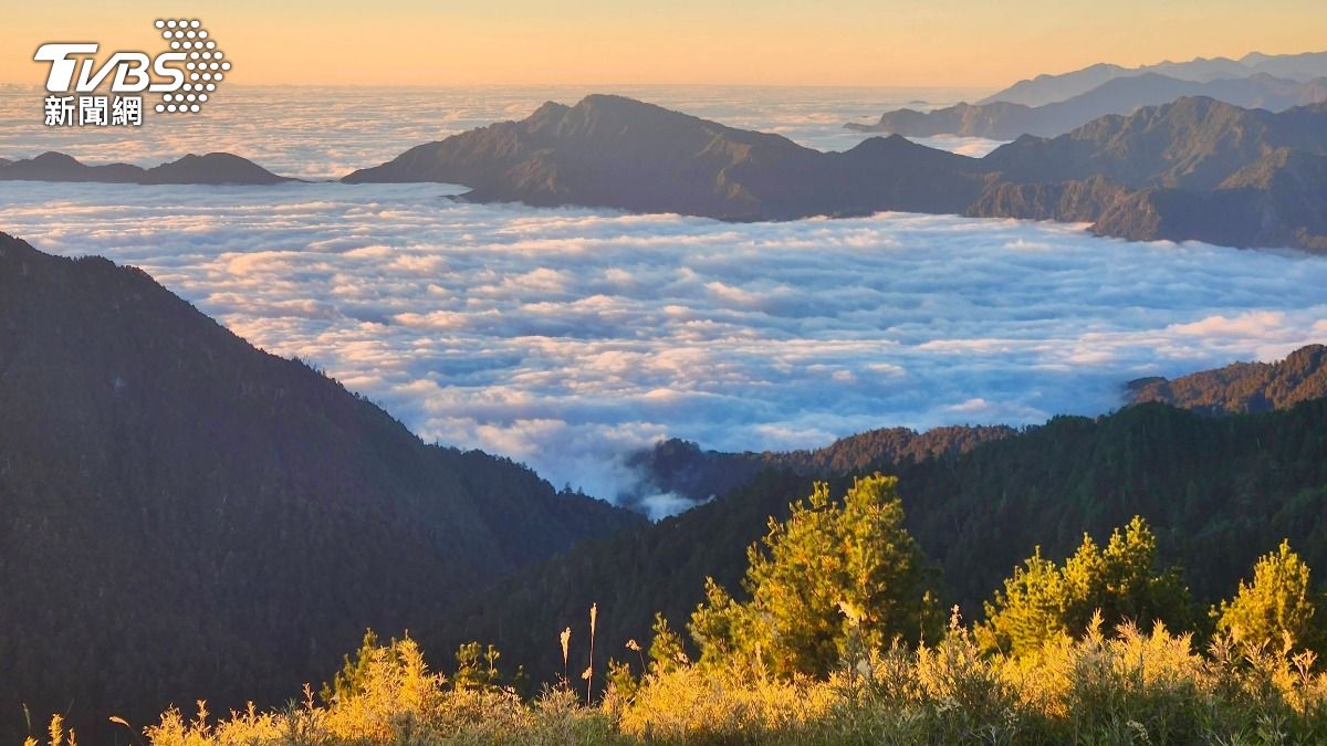資深盧姓山友說奇萊東稜為百岳縱走的四大障礙路線之一。（圖／盧姓山友授權提供）