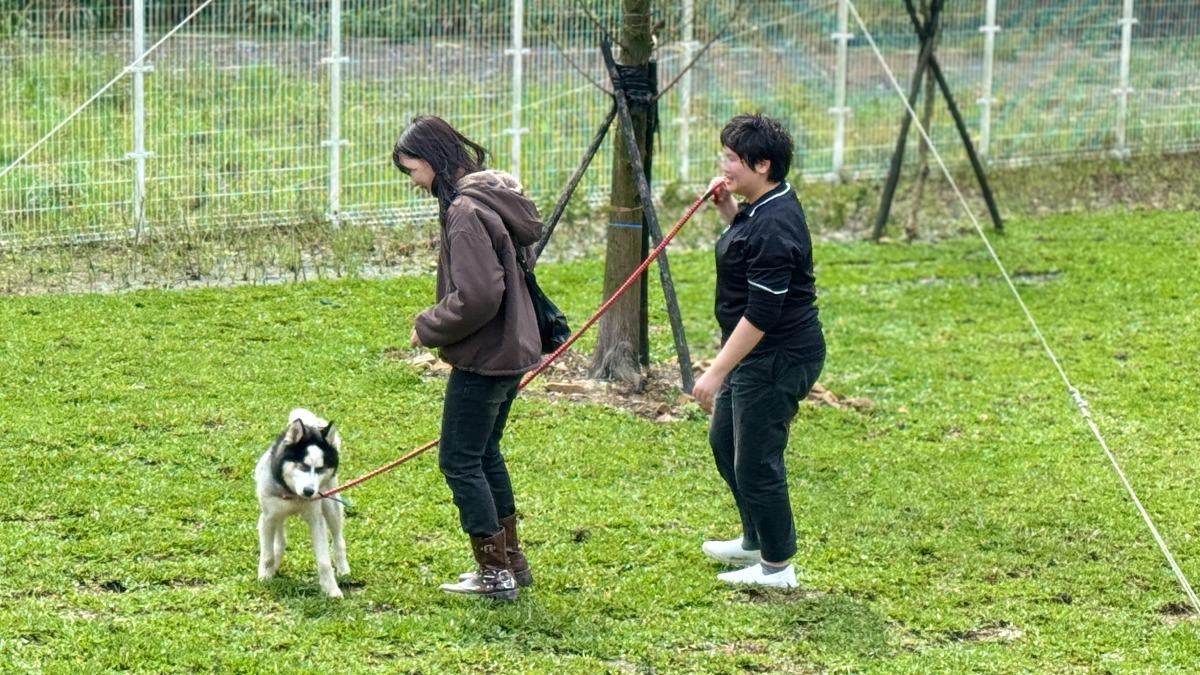 TVBS志工日首度攜手動物之家　實踐ESG理念為毛孩獻上愛心