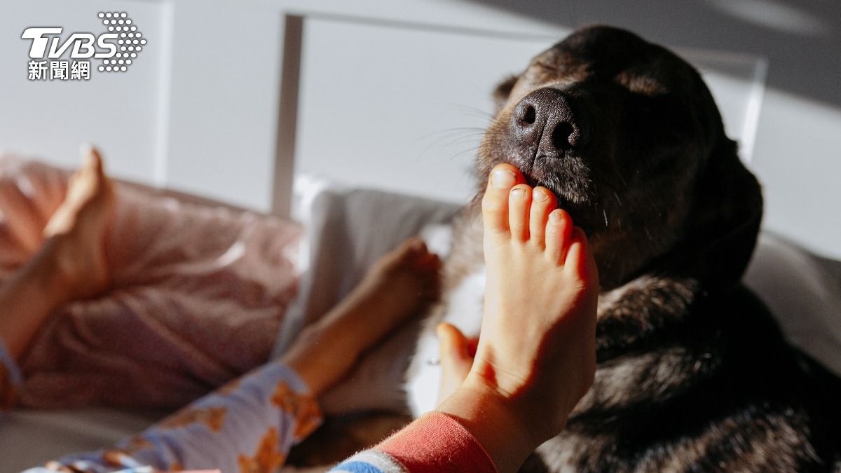 被寵物犬舔「染上敗血症」!瞬間臉色發紫 洋男6度心跳驟停亡
