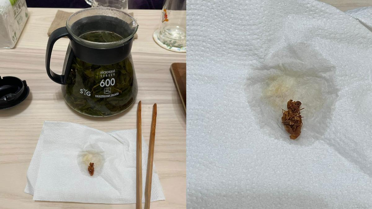 好市多-好市多茶葉-茶花-異物