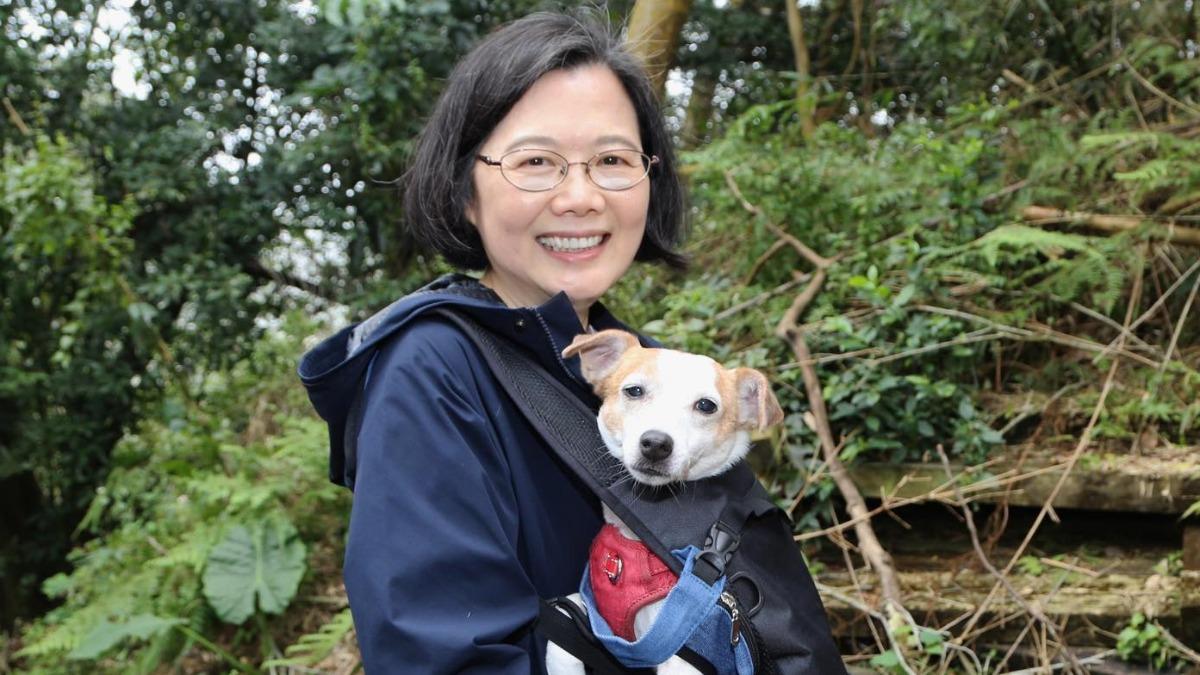 傳蔡英文「訪問日本」遭拒！蔡辦急澄清：無相關行程安排