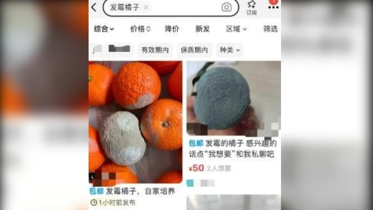 中國大陸電商平台出現一堆發霉橘子。（圖／翻攝自網易）