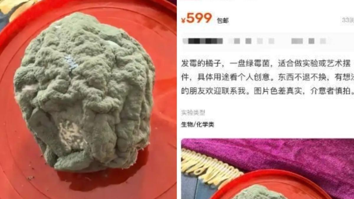 這顆賣到新台幣2700多元。(圖/翻攝自網易)