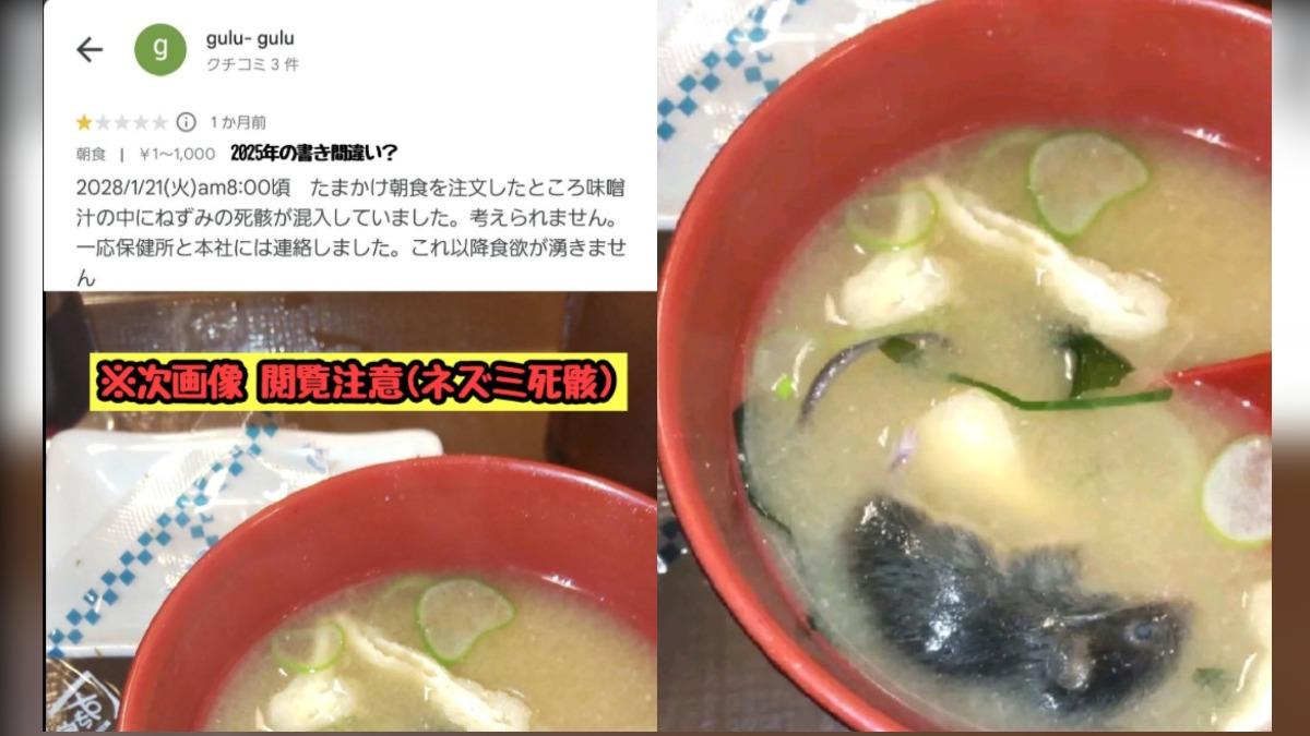 日本網友爆料,鳥取縣一間Sukiya的味噌湯混入老鼠。(圖/翻攝自X@tkzwgrs)