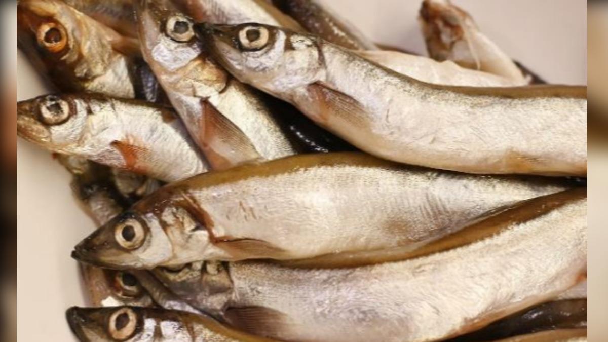 湖北驚見「吐魚洞」每年清明湧萬斤魚村民爽吃 專家一看急阻止