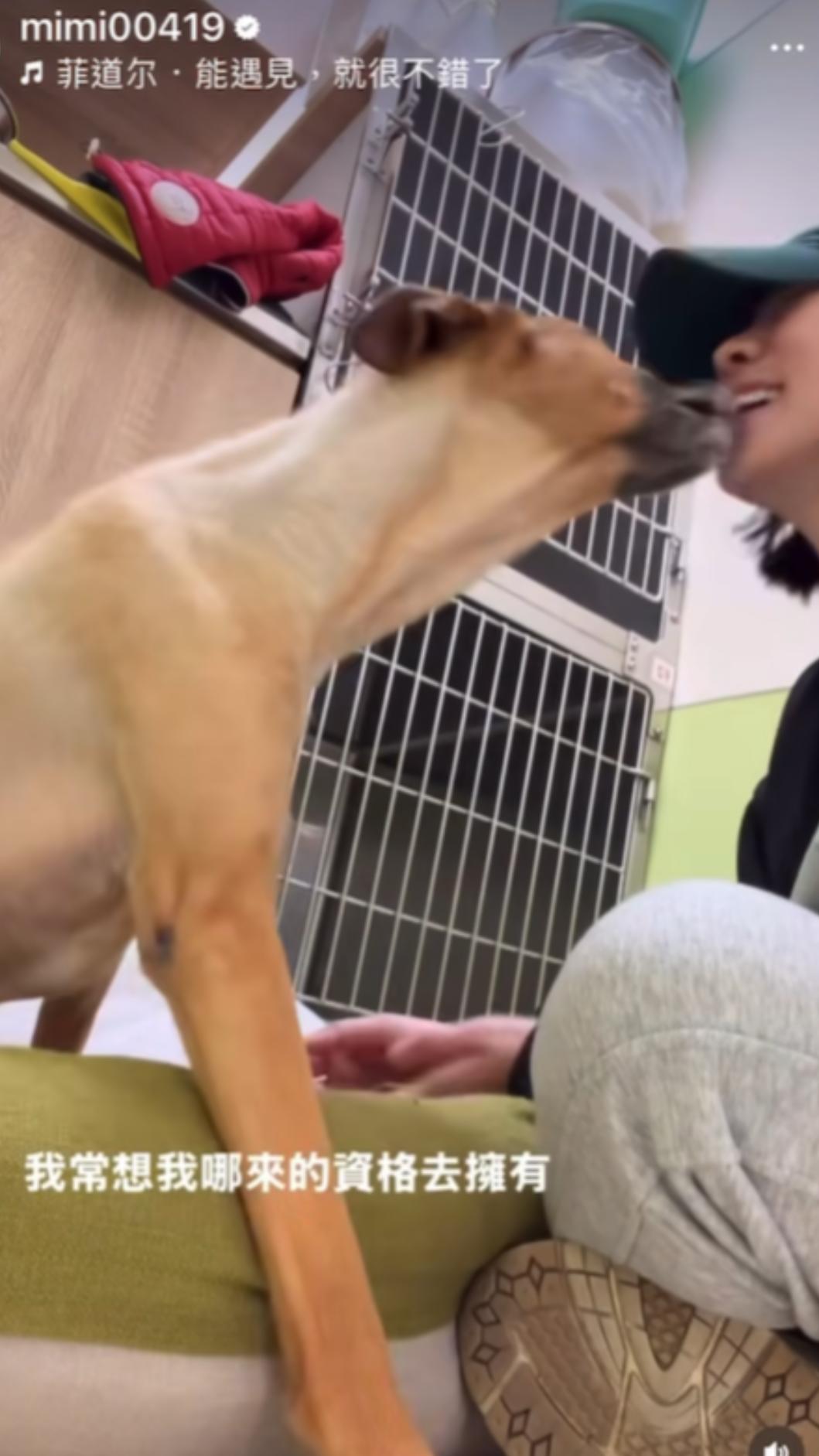 米可白決定不讓愛犬插管。(圖/翻攝自米可白IG)