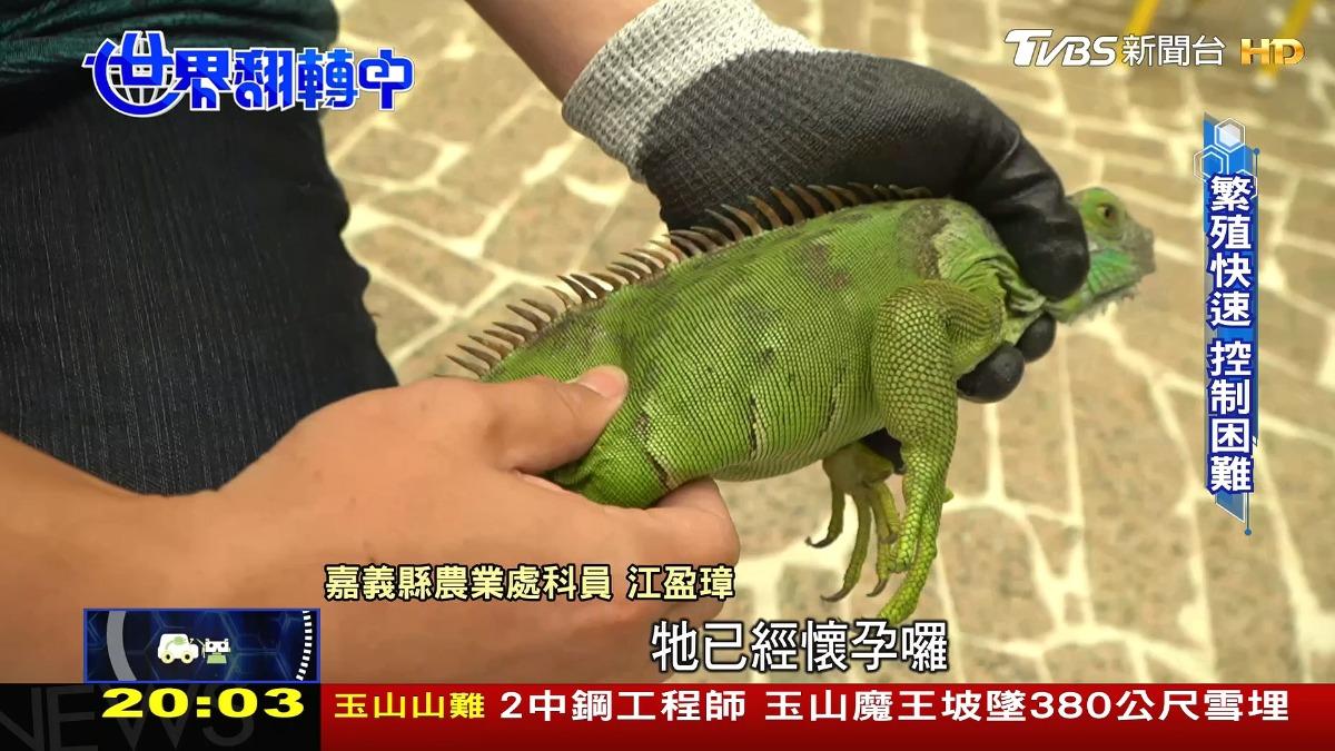 圖/TVBS