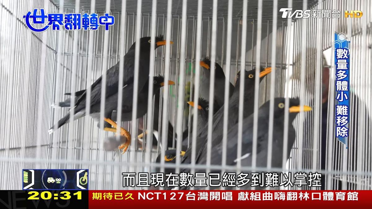 圖／TVBS