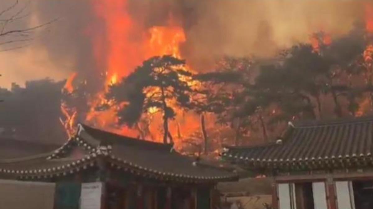南韓野火狂燒!千年新羅王朝雲羅寺被燒毀 僧侶急搶救聖物