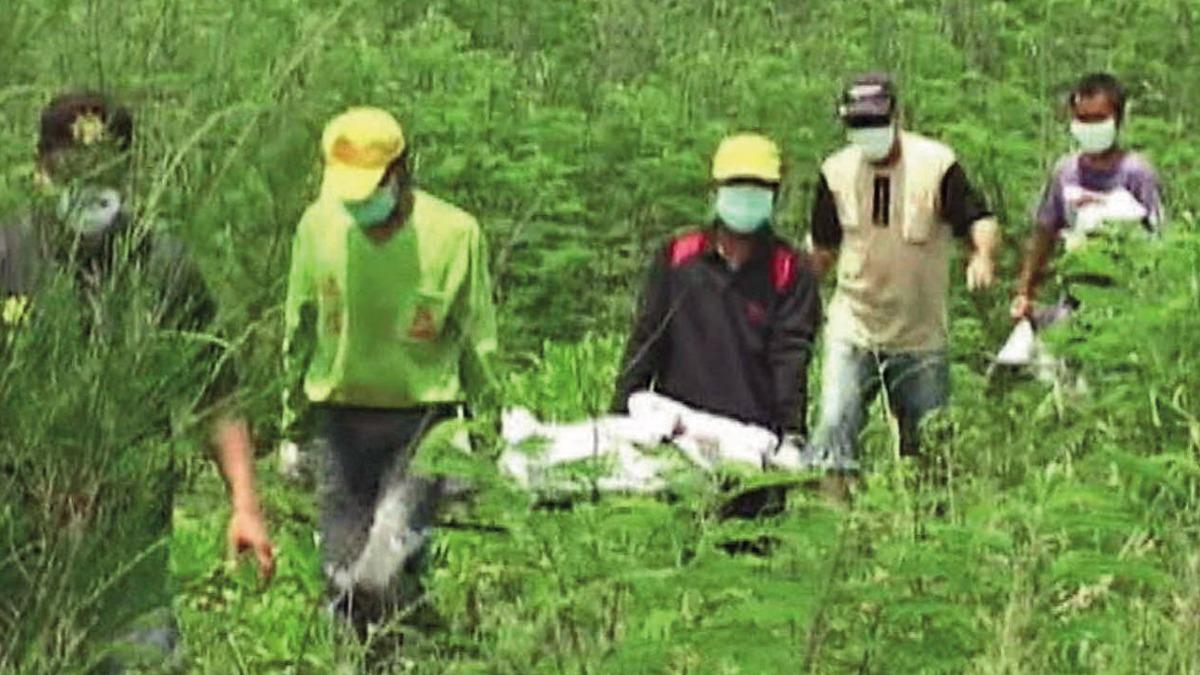 【火山孝子殺紅牌3】床上驚覺「老公不只我」鑄大錯　法院揭她被一堆金主包養