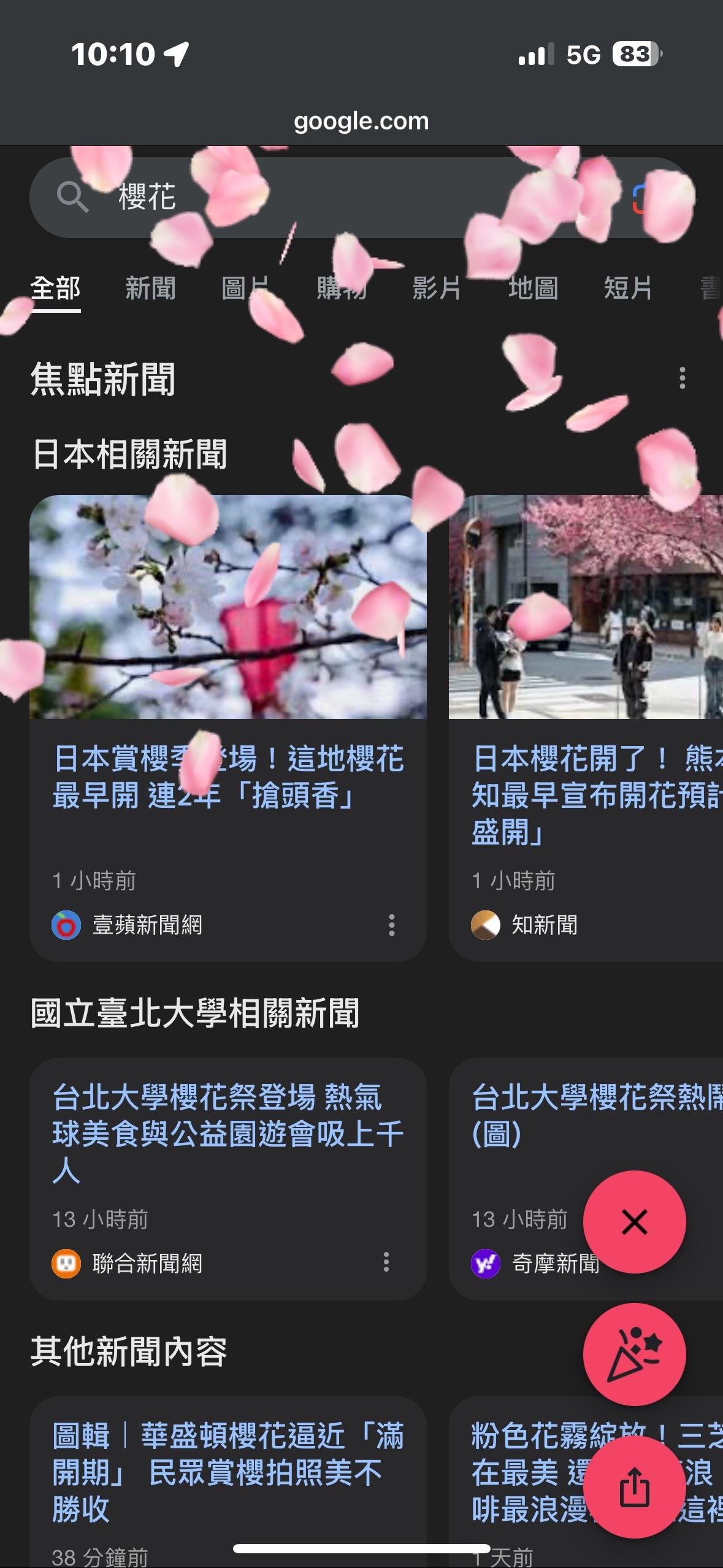 在手機的Google首頁搜尋「櫻花」,也會下起粉色櫻花雨。(圖/翻攝畫面)