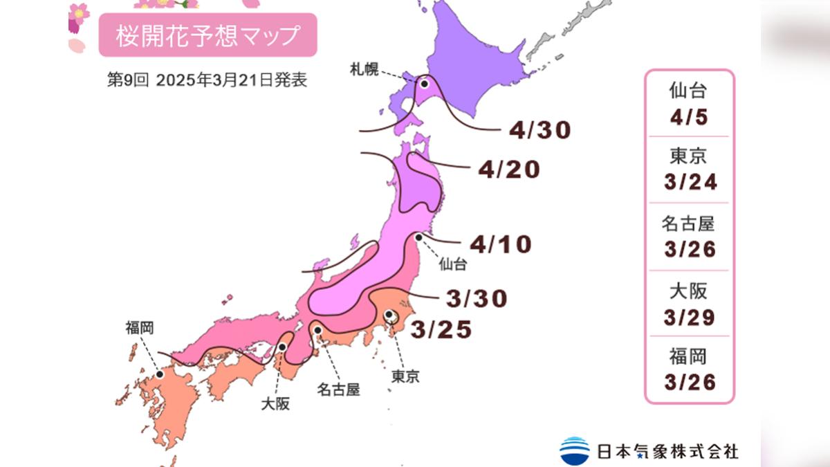 東京櫻花24號下午開了 日本氣象廳:早去年5天