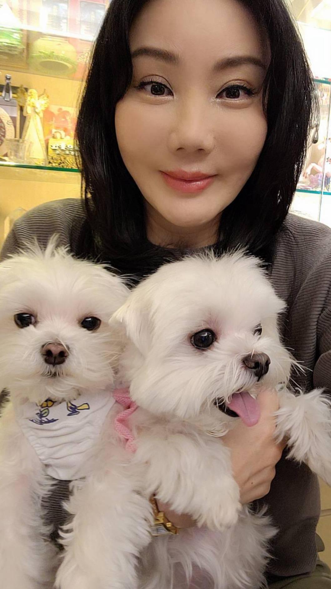 命理師沈嶸把愛犬當小孩照顧。(圖/財團法人流浪動物之家基金會提供)