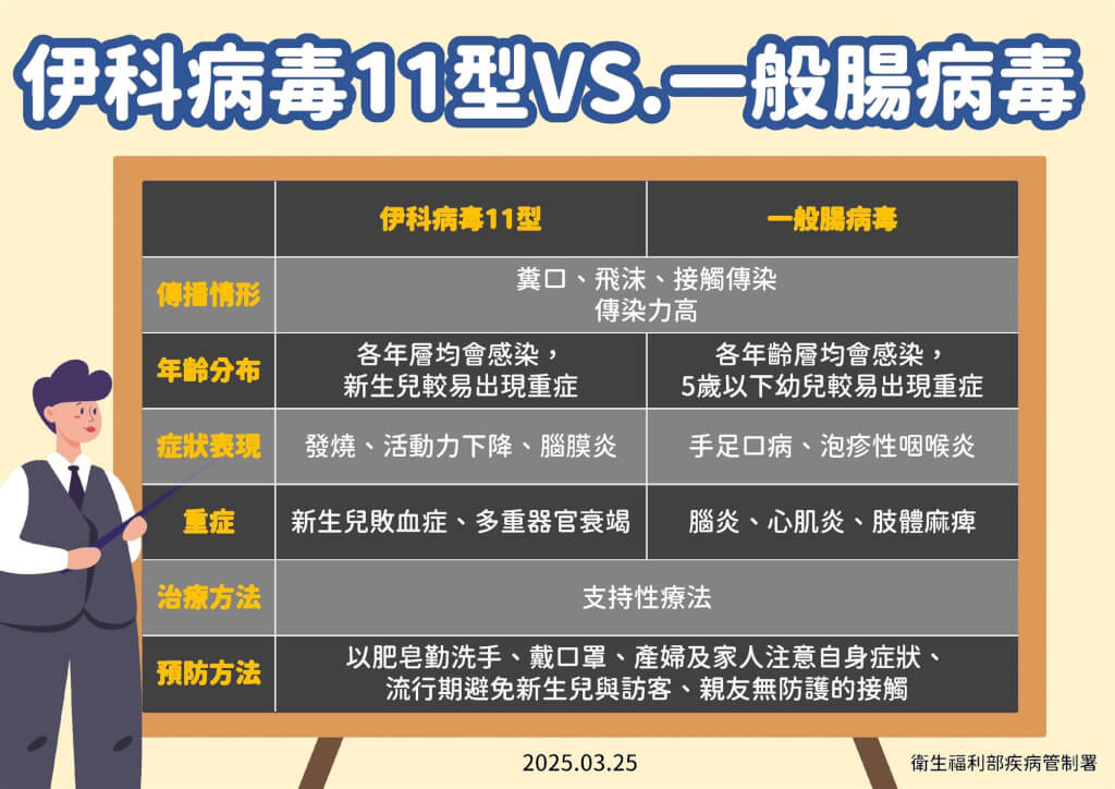 伊科病毒11型與一般腸病毒差異。(圖/疾管署)