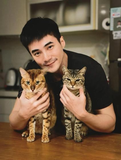 是元介現在養了兩隻貓，安紐（左）與陳金發。（圖／翻攝自是元介FB）