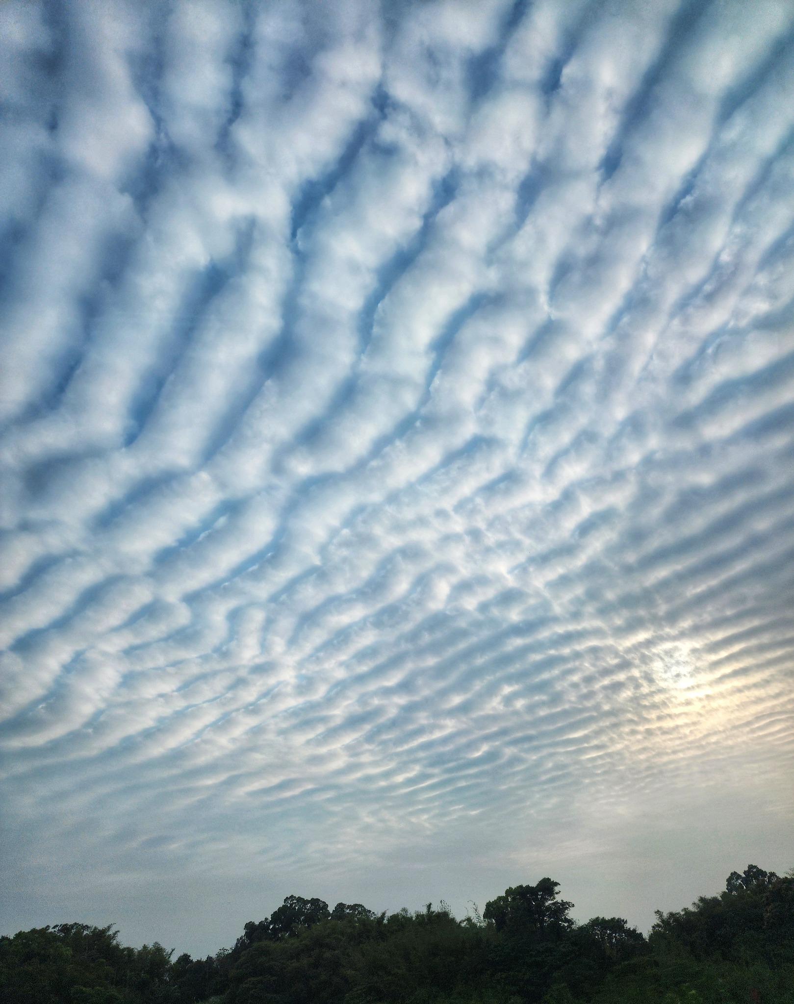 地震雲,東加群島地震,台灣地震,地震前兆,緬甸地震,泰國地震,地震,中央氣象署,地震徵兆