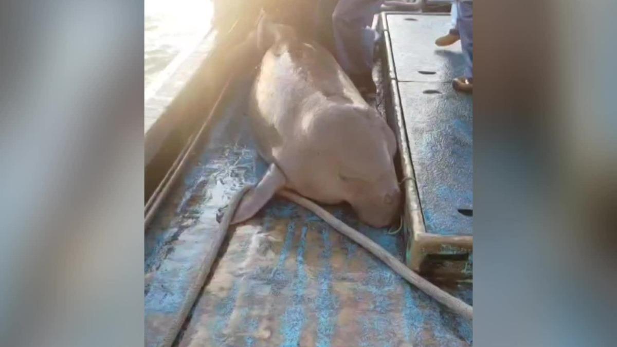圖／打魚王翔哥提供