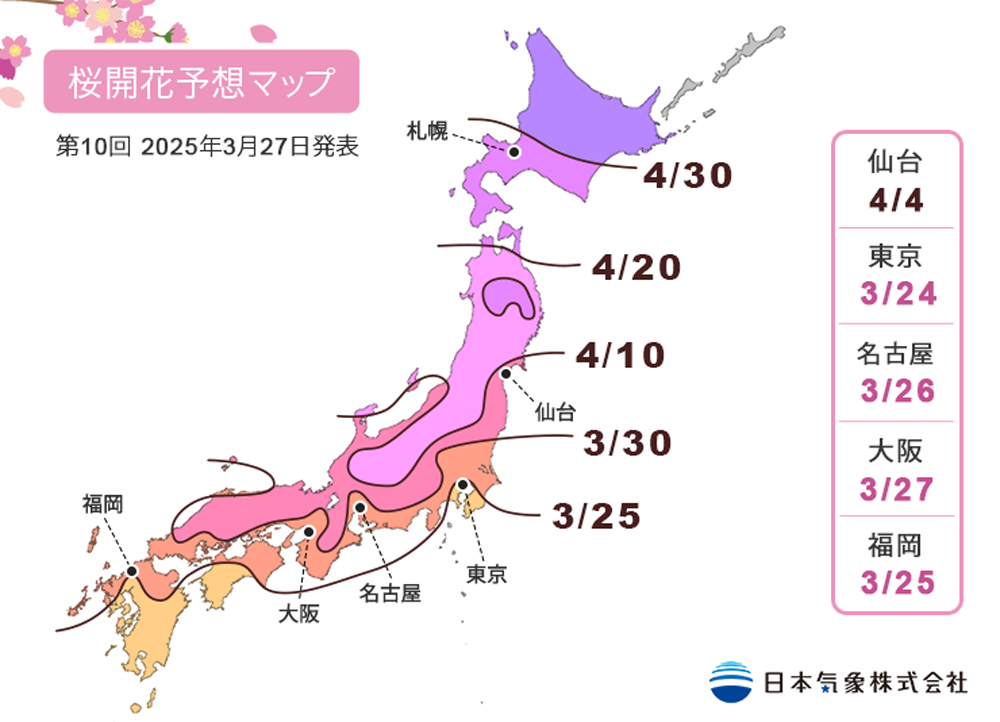 日本櫻花-日本櫻花季-日本櫻花預測-日本櫻花前線2025