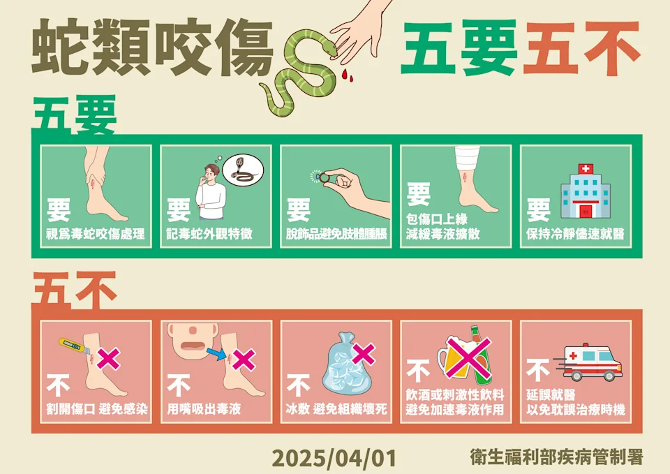清明掃墓-掃墓遇到蛇-台灣毒蛇-被蛇咬-毒蛇咬傷