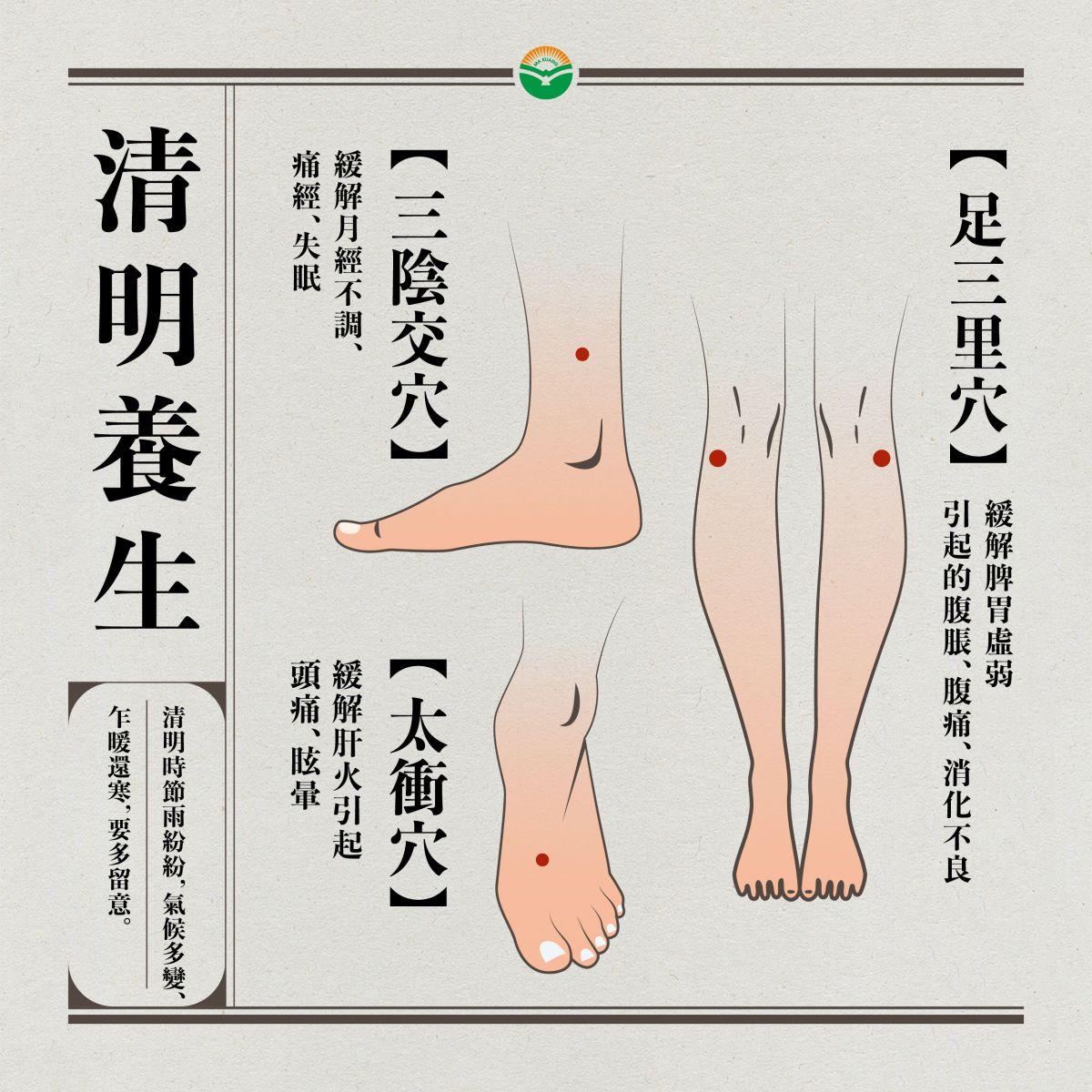 清明節,可按壓以下穴位,幫助疏肝理氣、健脾和胃,達到養生保健的目的。(圖/馬光中醫診所提供)
