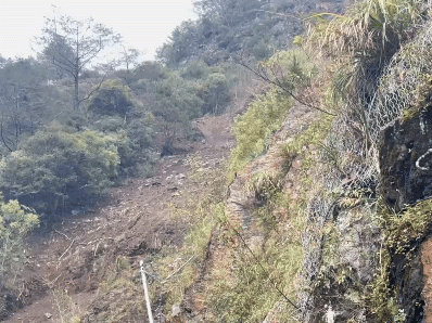 現階段仍不斷有巨石夾雜樹木滾落。(圖/中區養護工程局谷關工務段提供)