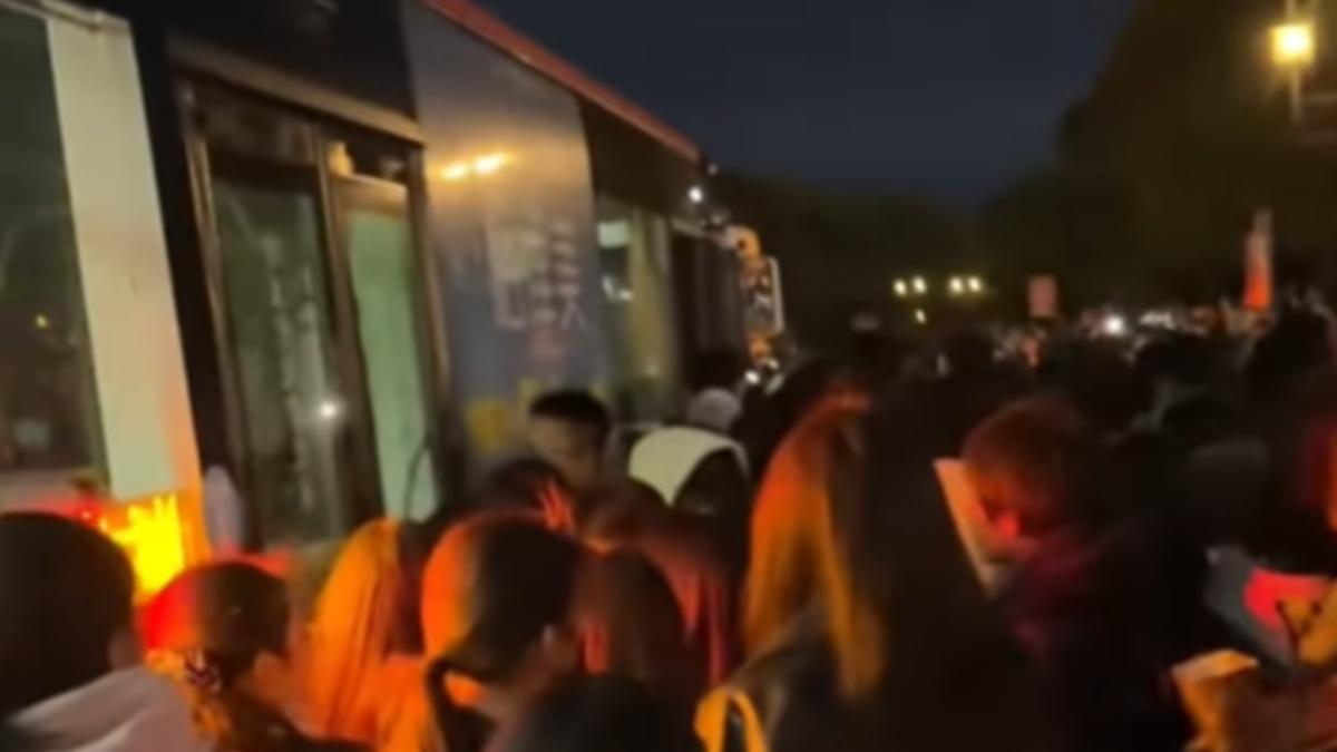 六福村擠爆!未成年免費玩「受困郊區」像遊魂 摸黑等嘸車回家