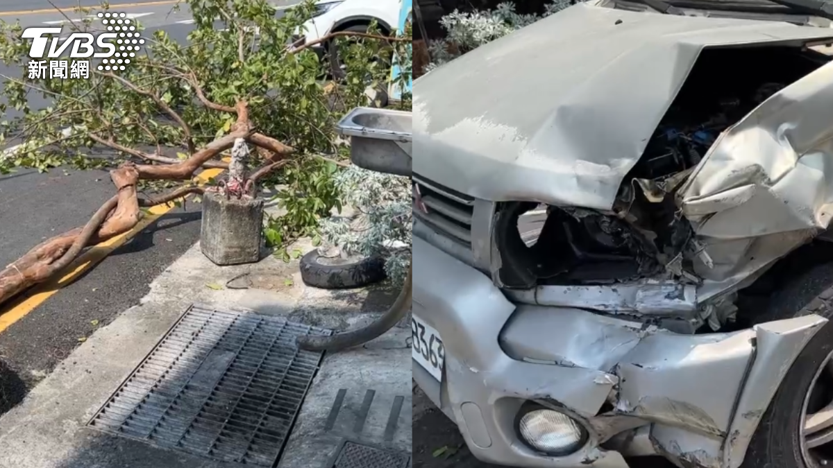 快訊／台南新興國小前爆衝車禍　廂型車撞斷樹「連根拔起」