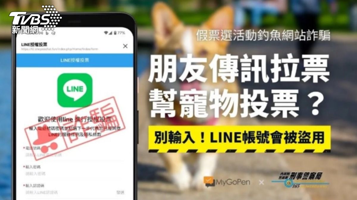 「寵物投票」騙帳號!LINE、IG全淪陷 刑事局示警「驗證碼」別亂給