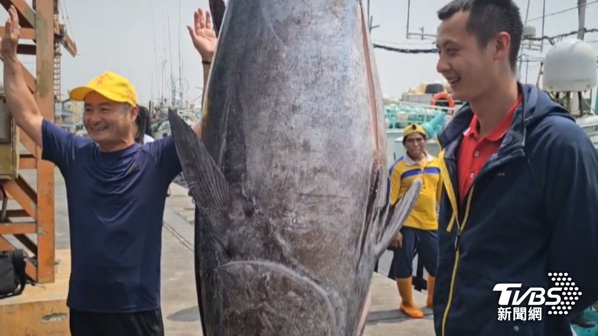 父子倆開心在黑鮪魚面前合影。(圖/TVBS)
