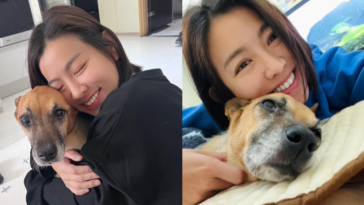 米可白愛犬罹胃癌「20天燒9萬」!只求健康平安:費用多少都沒關係