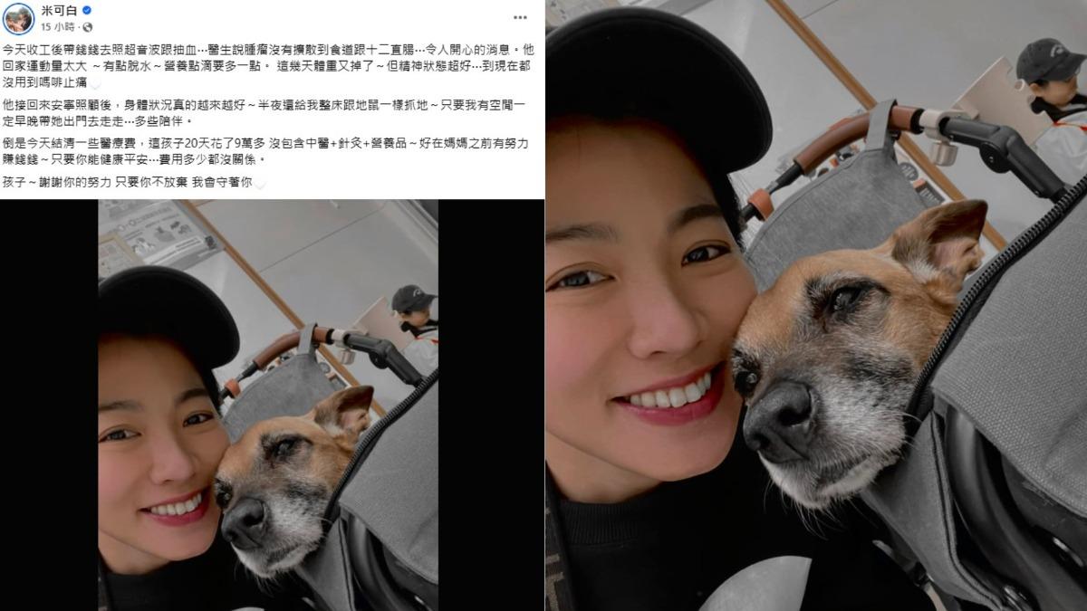 米可白透露錢錢的腫瘤沒有擴散,而且精神狀態超好。(圖/翻攝自米可白臉書)