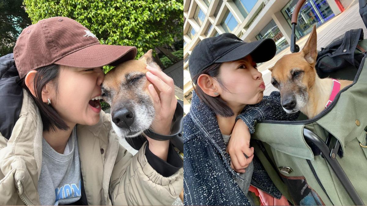 米可白現在一有空閒就會帶著愛犬出門走走,陪伴牠度過平淡的餘生。(圖/翻攝自米可白臉書)