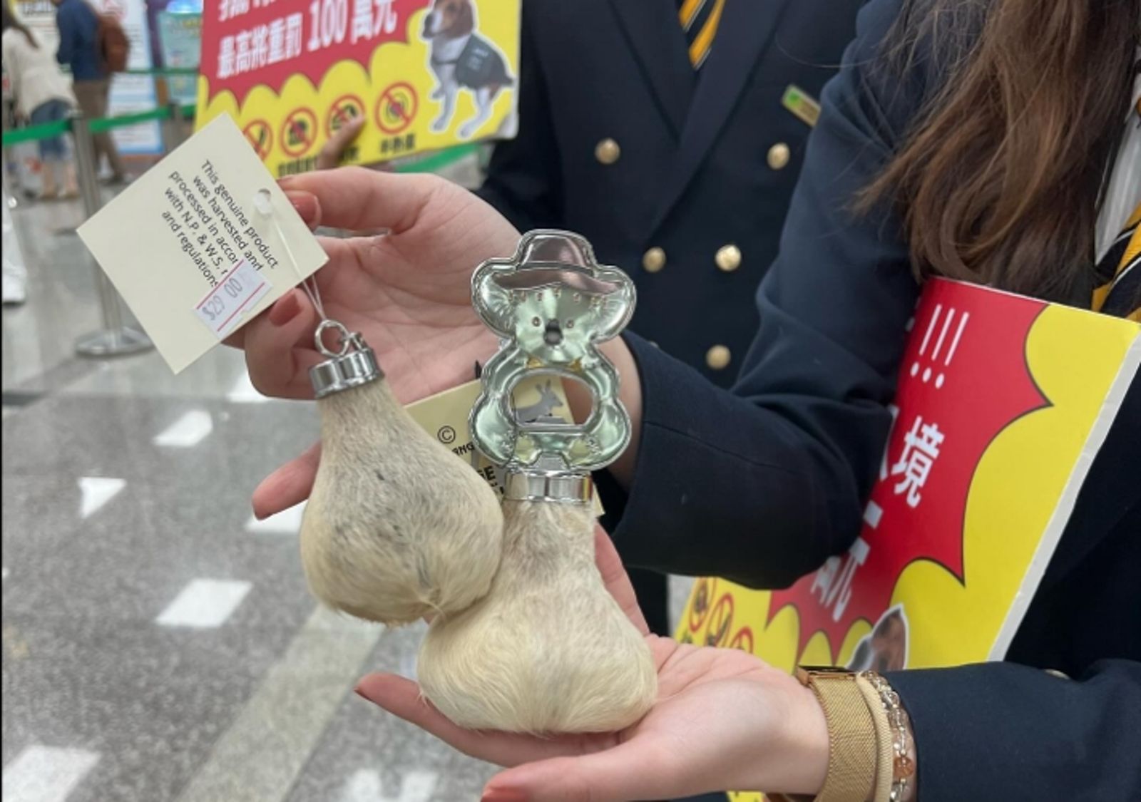 澳洲返台入境「帶1紀念品」恐罰20萬 網友驚喊:居然是違禁品