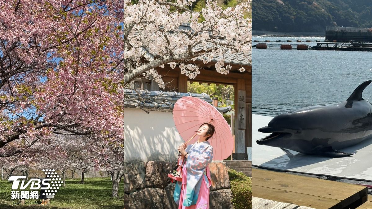 直擊/日本大分景點懶人包!穿袴和服賞粉櫻花海 還能與海豚游泳