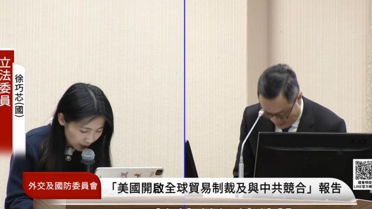 徐巧芯10日她也在立院外交及國防委員會質詢時,再度鞠躬道歉。(圖/立法院議事轉播頻道)