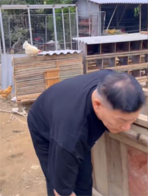 澎恰恰,澎恰恰擺攤,澎恰恰欠債2億,澎恰恰欠債,澎恰恰債務,澎恰恰近況,澎恰恰直播,澎恰恰白髮,澎恰恰破產