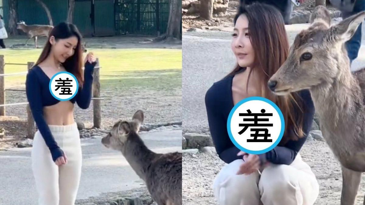 【有片】美女遊客「超凶身材」互動奈良鹿　辣翻日本網友喊：想投胎當鹿