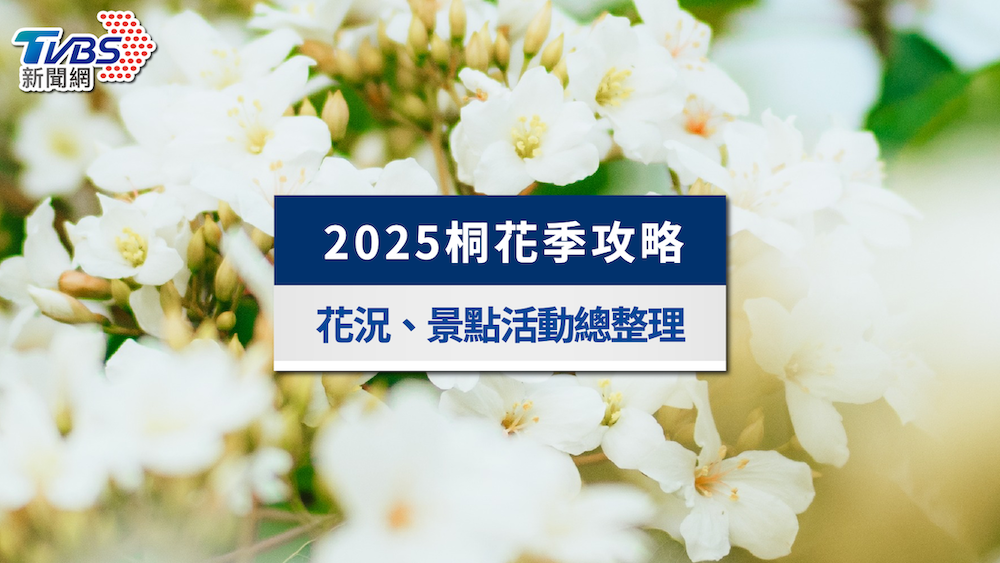 2025桐花季攻略》油桐花幾月開?即時花況、賞桐景點活動總整理