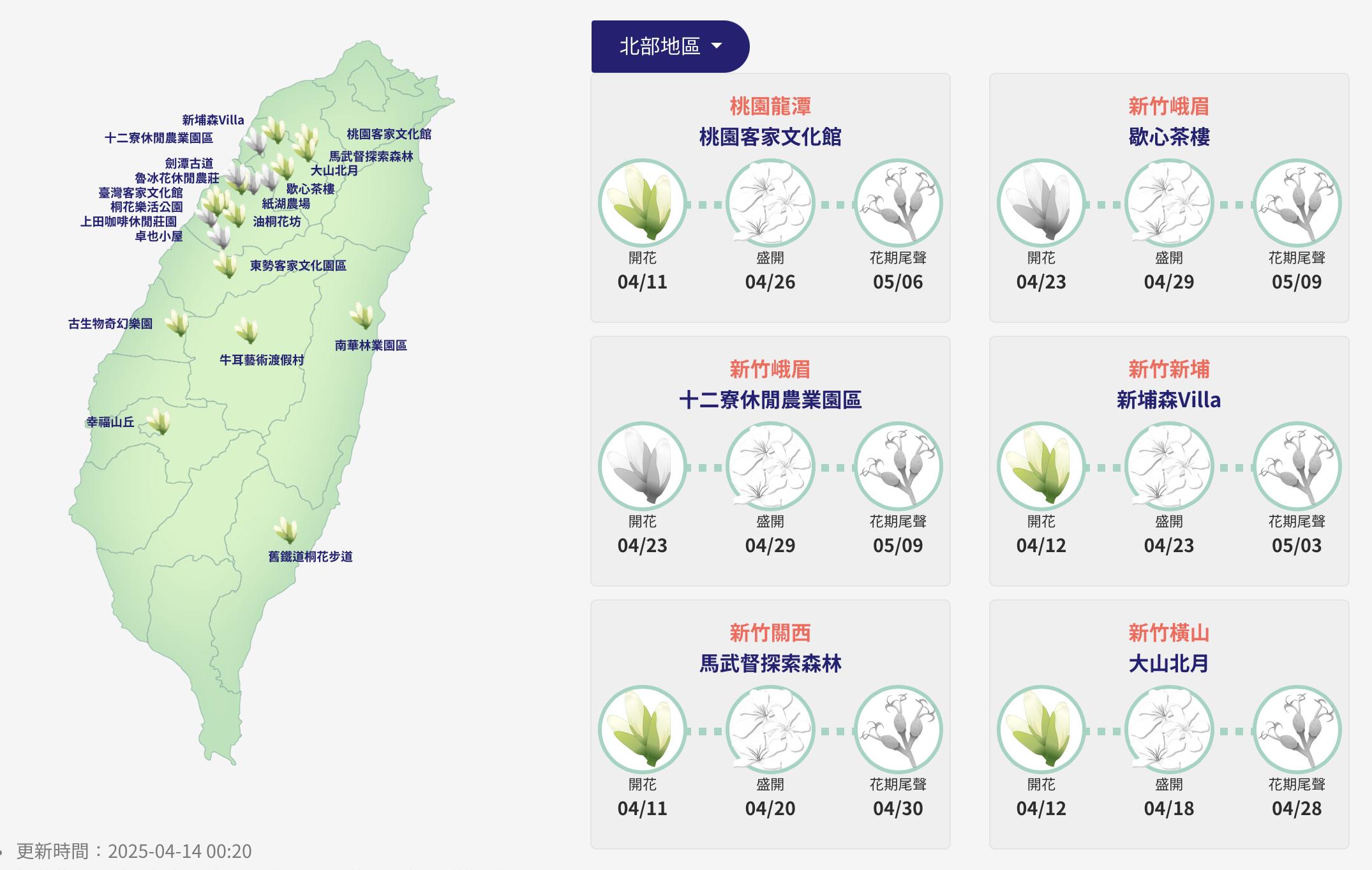 桐花季-桐花步道-桐花季2025-桐花即時花況