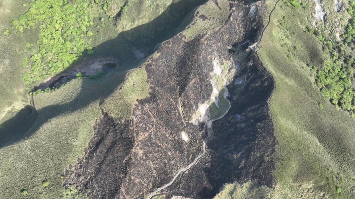 陽明山14日火災延燒超過5小時後撲滅。（圖／國家公園署提供）