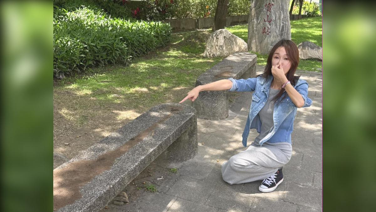 噁!桃園罷藍委連署點「石椅全被抹大便」 綠議員:超惡劣