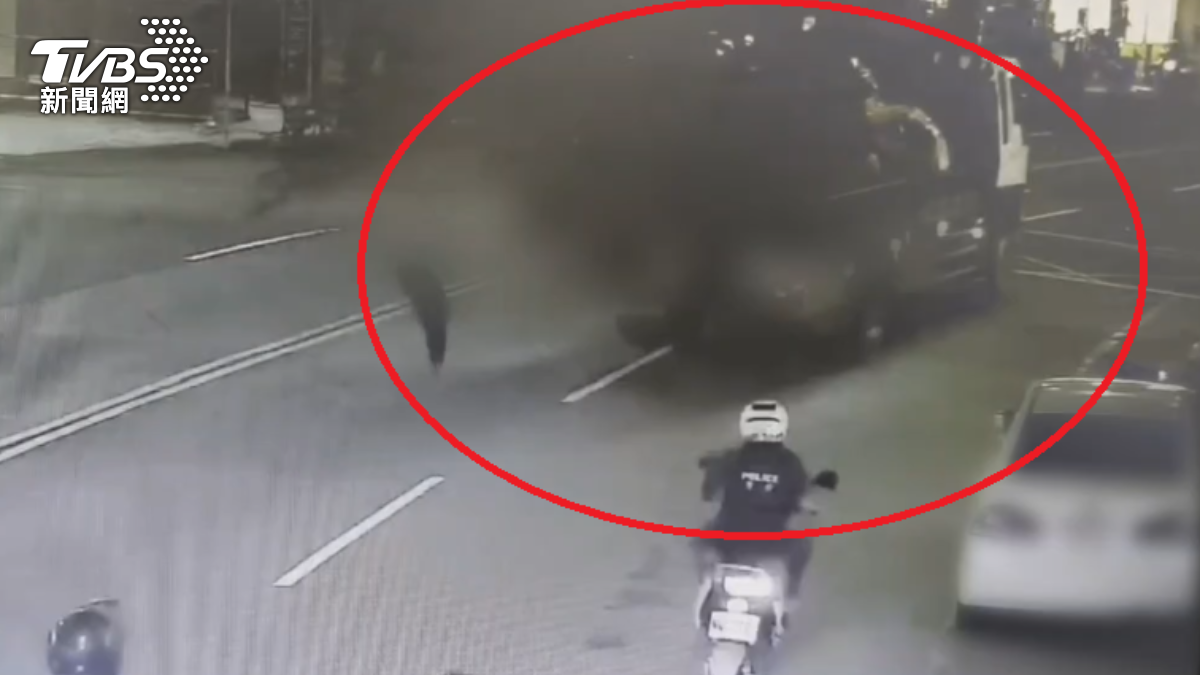 高雄深夜驚見巨物上路!尾枝彈動橫甩路人嚇壞 驚悚畫面曝光
