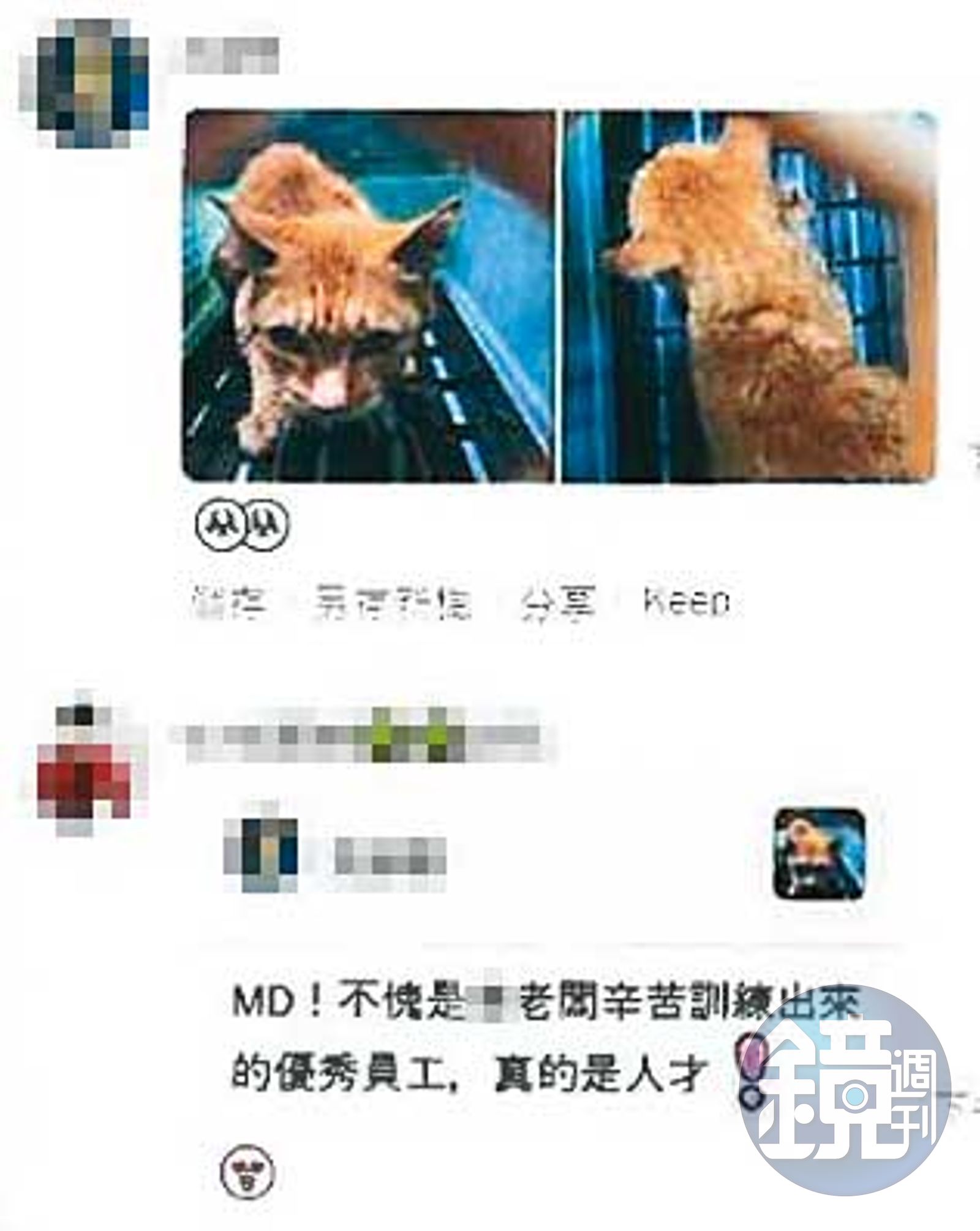 陳姓動保員遭控在動保處群組內,用嘲諷羞辱的言語霸凌舊廠商員工。(圖/讀者提供)