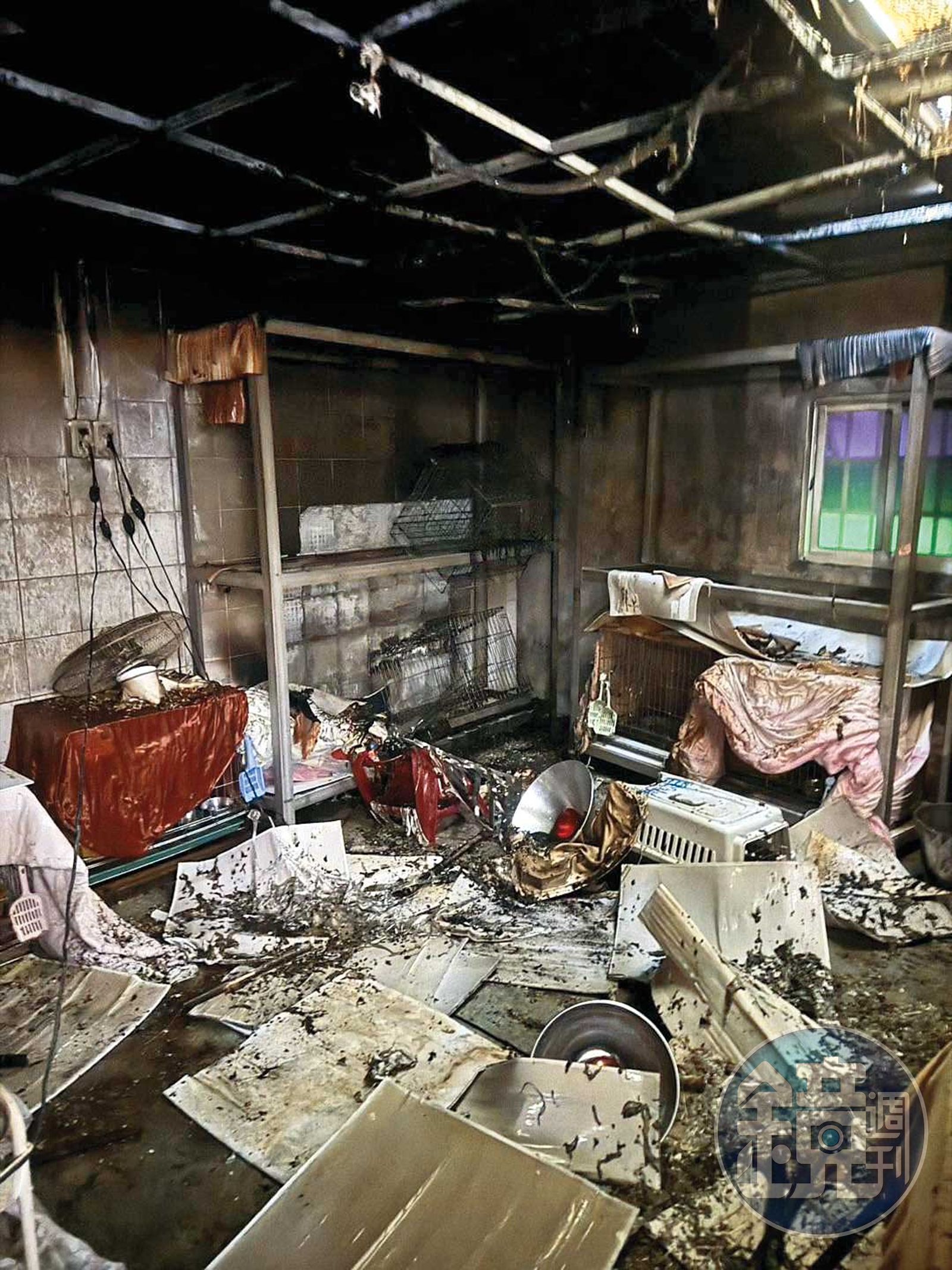 新店動物之家日前發生火災,遭議員戴瑋姍踢爆根本是違建等諸多問題。(圖/翻攝戴瑋姍臉書)